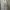 Fairy Prom Dress Wanita White
