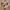 Adidas Casual Sneakers Pria multicolor photo 1