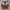 Adidas Casual Sneakers Pria multicolor photo 5
