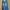 Minimalist Muslim Jumpsuit Wanita navy photo 1