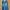 Minimalist Muslim Jumpsuit Wanita Navy