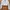 Fairy Coquette Kimono Wanita white photo 1