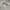 Uniqlo Y2K Casual Formal shirt Pria white photo 2