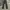 Vintage Y2K Jeans Pria gray photo 5