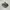 Arc'teryx Sportswear Sneakers Pria green tan photo 1