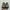 Arc'teryx Sportswear Sneakers Pria green tan photo 4