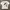 Grunge T-shirt Pria white photo 2
