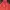 Nike Y2K Sportswear Hoody Pria red photo 1