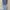 Vintage Y2K Jeans Pria white blue photo 1