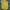 Burberry Luxury Casual Polo shirt Pria yellow photo 3