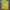 Burberry Luxury Casual Polo shirt Pria yellow photo 1