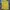Burberry Luxury Casual Polo Shirt Pria Yellow