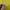 Burberry Luxury Casual Polo shirt Pria yellow photo 4
