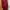 Shein Luxury Going Out Dress Wanita Red