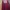 Shein Luxury Going out dress Wanita red photo 3
