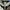 Adidas Streetwear Casual Windbreaker Pria white black blue photo 5