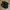 Casual Sandals & slide Pria black photo 2