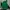 Fila Casual Polo shirt Pria green photo 1