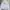 Dickies Streetwear Sweater Pria gray photo 1