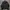 HUF Streetwear Bomber Jacket Pria Black