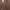 Fila Streetwear Hoody Pria brown photo 4