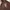 Fila Streetwear Hoody Pria brown photo 2