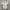 Polo Ralph Lauren Casual Formal shirt Pria white photo 1