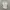 Uniqlo Casual Formal shirt Pria white photo 1