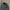Sportswear Track jacket Pria gray photo 2