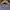 A Bathing Ape Luxury T-shirt Pria purple photo 3