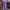 Minimalist Pakaian Nasional Kebaya Wanita purple green photo 2