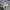 Converse Vintage Casual Sneakers Pria white photo 5