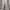 Casual Sweatpants & Joggers Wanita gray photo 4