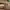 Timberland Avant Garde Minimalist Loafer Pria tan brown photo 2