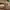 Timberland Avant Garde Minimalist Loafer Pria Tan Brown