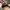 Timberland Avant Garde Minimalist Loafer Pria tan brown photo 5
