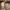 Timberland Avant Garde Minimalist Loafer Pria tan brown photo 3