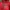 GU Vintage Sportswear Hoody Pria red photo 2