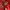 GU Vintage Sportswear Hoody Pria red photo 4