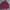 Cinema Club Casual Casual shirt Pria red black photo 1