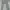 Levi's Grunge Skater Jeans Pria green gray photo 1