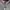 GAP Streetwear Sportswear Hoody Pria gray photo 3