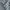 LAINE Casual Casual shirt Pria gray blue photo 5