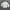 Streetwear Casual Sweatshirt Pria cream photo 3