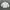 Streetwear Casual Sweatshirt Pria cream photo 1