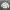 Streetwear Casual Sweatshirt Pria Cream