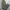 Uniqlo Streetwear Casual Casual pants Pria green photo 1