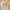 Minimalist Prom Dress Wanita Silver