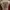 Luxury Pakaian adat Kebaya Wanita red brown photo 3