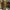 Luxury Pakaian Adat Kebaya Wanita Red Brown
